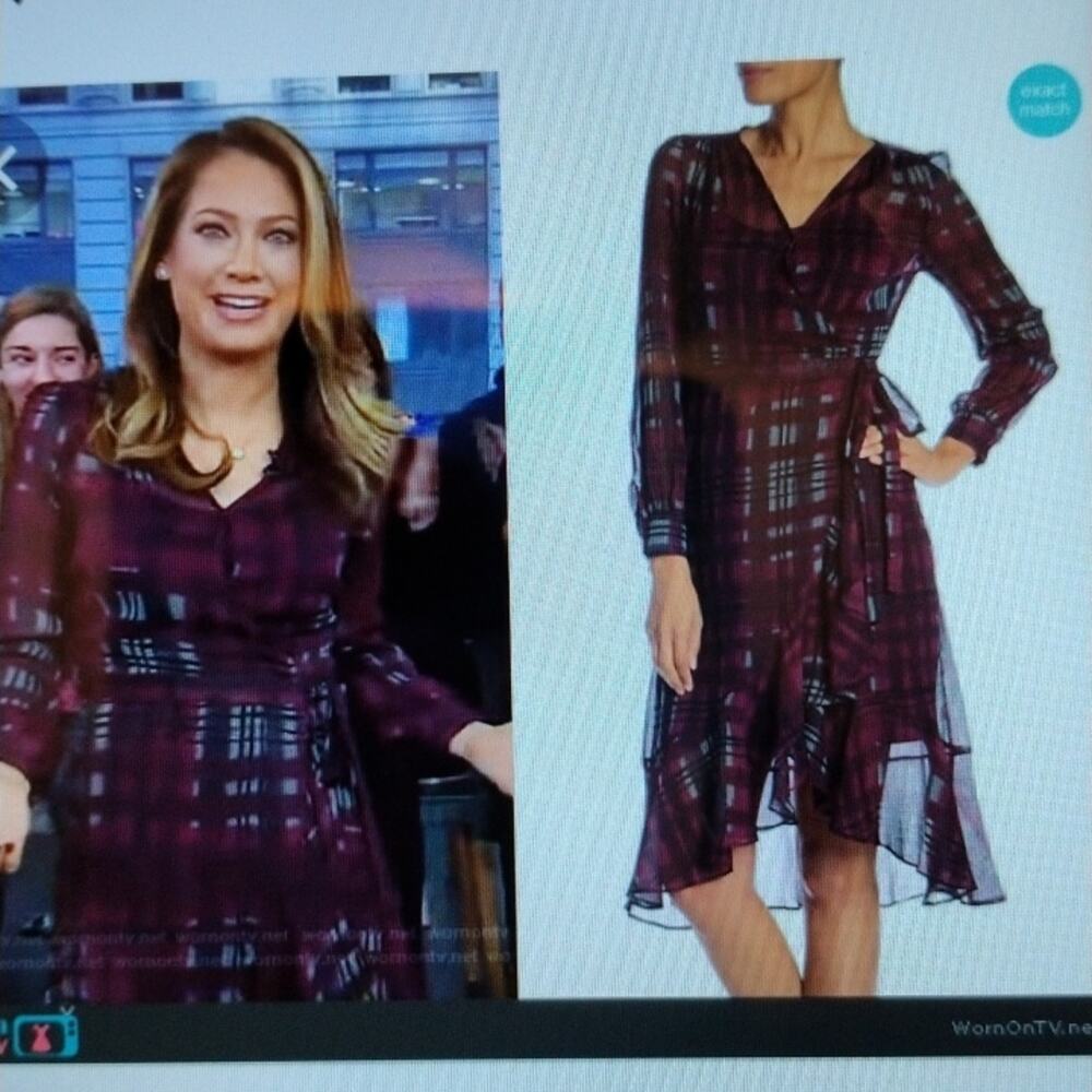 Nanette Lepore Chiffon Ruffle Wrap Dress Sz 6 Bur… - image 5